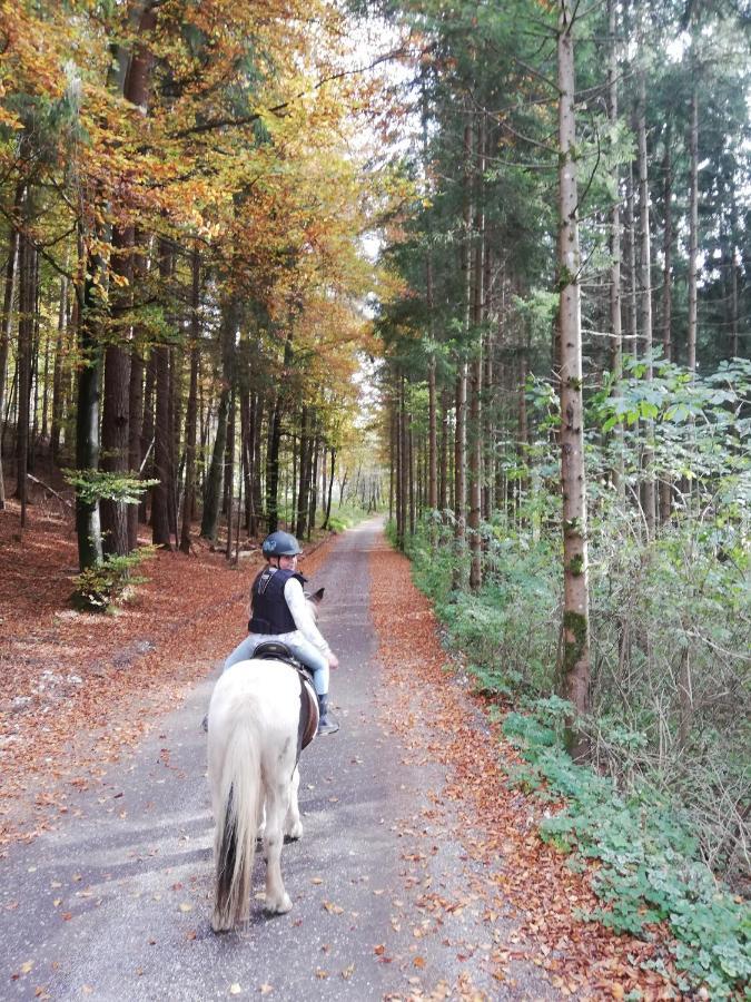Apartment Am Ponyhof ザンクト・カンツィアン エクステリア 写真